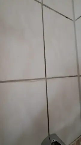 #fugenreinigung #clean #reinigung #cleaning #gebäudereinigung 