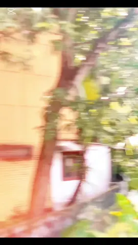 💋✨💋#foryou #100kviwes #goviral #kviwes #famous #pajamadrivejkt48 #500klikes #mynewaccount_suport_me #pajababa #srilankan_tik_tok🇱🇰 #100kviwes.  #dematagoda #api #👿👑