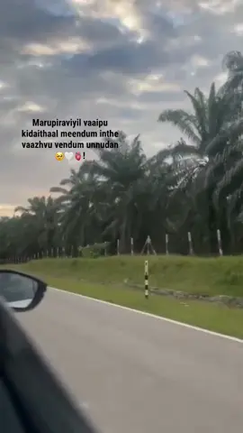 unnai mattum nesithe inthe manam😌🫀! #sadvibes #tamilsong #Love #viral #fyppppppppppppppppppppppp #feeling #broken #pidivatham #anotherlifetime #missyou 