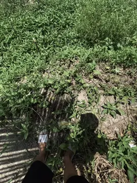 “ đớn đau khi nhìn thấy emm “#nhạcbuon #nhacnaychillphet #xhuongtiktok #tamtrang 