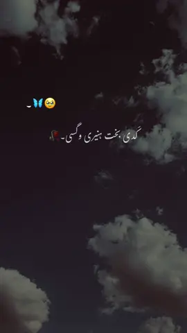Inshallah❤️‍🩹🦋#fyp #foryou #unfrezzmyaccount 