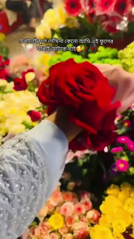 পৃথিবীর সবচেয়ে সুন্দর জিনিস হলো ফুল❤️🥀 ফুল মানেই ভালোবাসার সৌন্দর্য, ফুল নিয়া ক্যাপশন দিতে গেলে তার কোন শেষ হবে না❤️কারন ফুল জিনিসটা আমি খুব পছন্দ করি❤️🥀সেটা যে কোনো ফুলই হক না কেনো,,ফুলের সৌন্দর্যের কোনো ক্যাপশন হয়না,,ফুলের ক্যাপশন তার নিজের সৌন্দর্য ❤️❤️🥀🥀 ফুল সবসময় শুধু সুগন্ধিই ছড়ায়না মাঝে মাঝে কিছু সুন্দর মুহূর্তও দিয়ে যায়❤️❤️❤️❤️❤️🥀🥀🥀🥀#tiktok #copylink #foryoupage #viraltiktok #bagladesh🇧🇩tiktok 