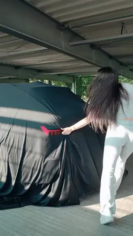 #fppppppppppppppppppp #roll #Lamborghini 