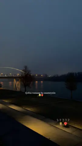Qofna wanaag ha usameynin😭❤️‍🔥#jawibila🌊 #jawiga_jawiyada_eryaday🌴🍁 #AYUUP❤️‍🔥🤴🏽 #musiclyrics #somalitiktok12 