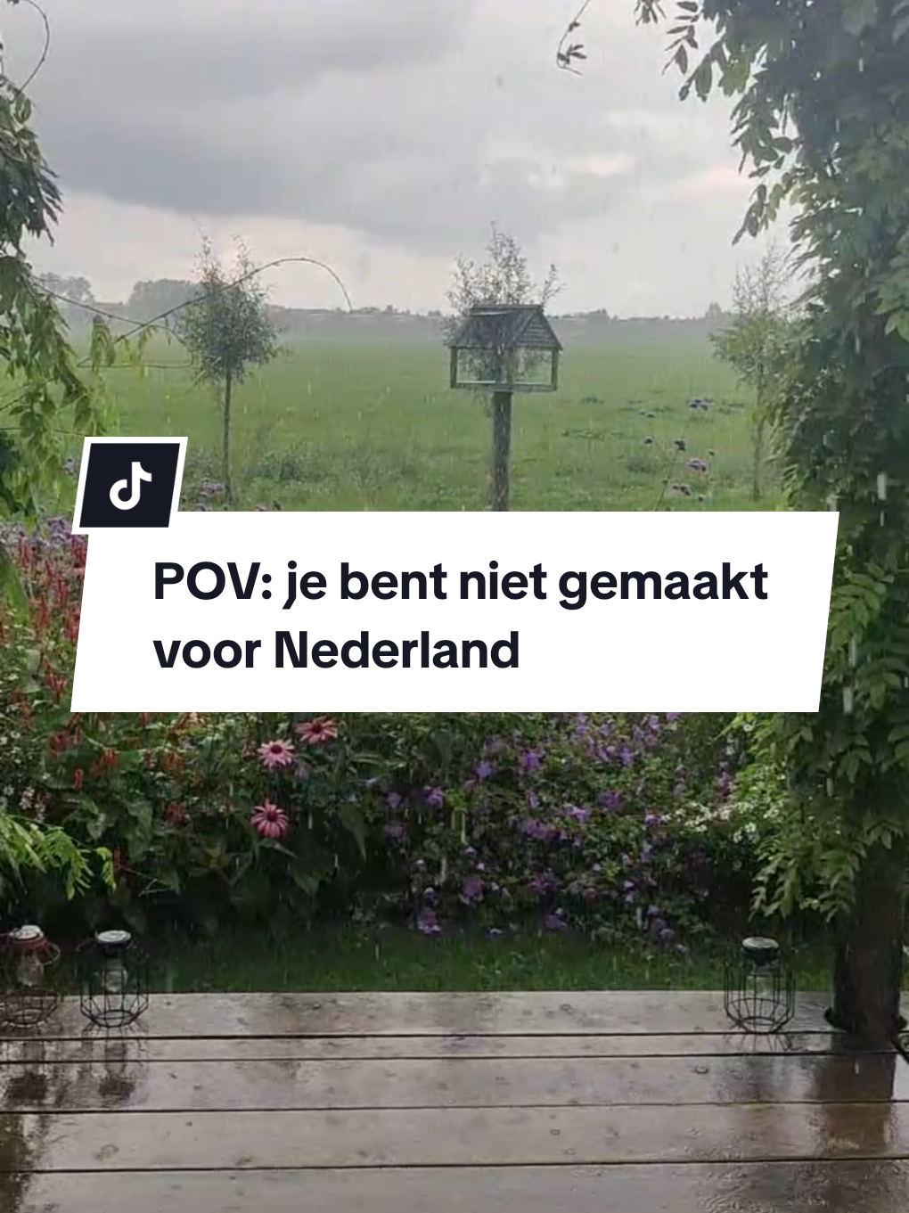 POV: Je bent niet gemaakt voor Nederland. De regen, altijd binnen zitten, de korte dagen… Dus je verhuist naar het buitenland! En ik help je bij elke stap – van sollicitatie tot je eerste dag in de zon. 🌍✈️ #worklifebalance #buitenland #lifeabroad 
