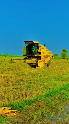 Munji ki ktai kon kon kr rha?#foryou #fypシ #viral #trending #kisan #love❤️ #newholland8070 #پنڈاں_آلے_جٹ 