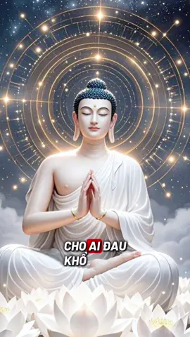 #phatphapnhiemmau #samhoi #tungkinh #loiphatday #chanhniem #buongbo #tubi #hanhphuc 