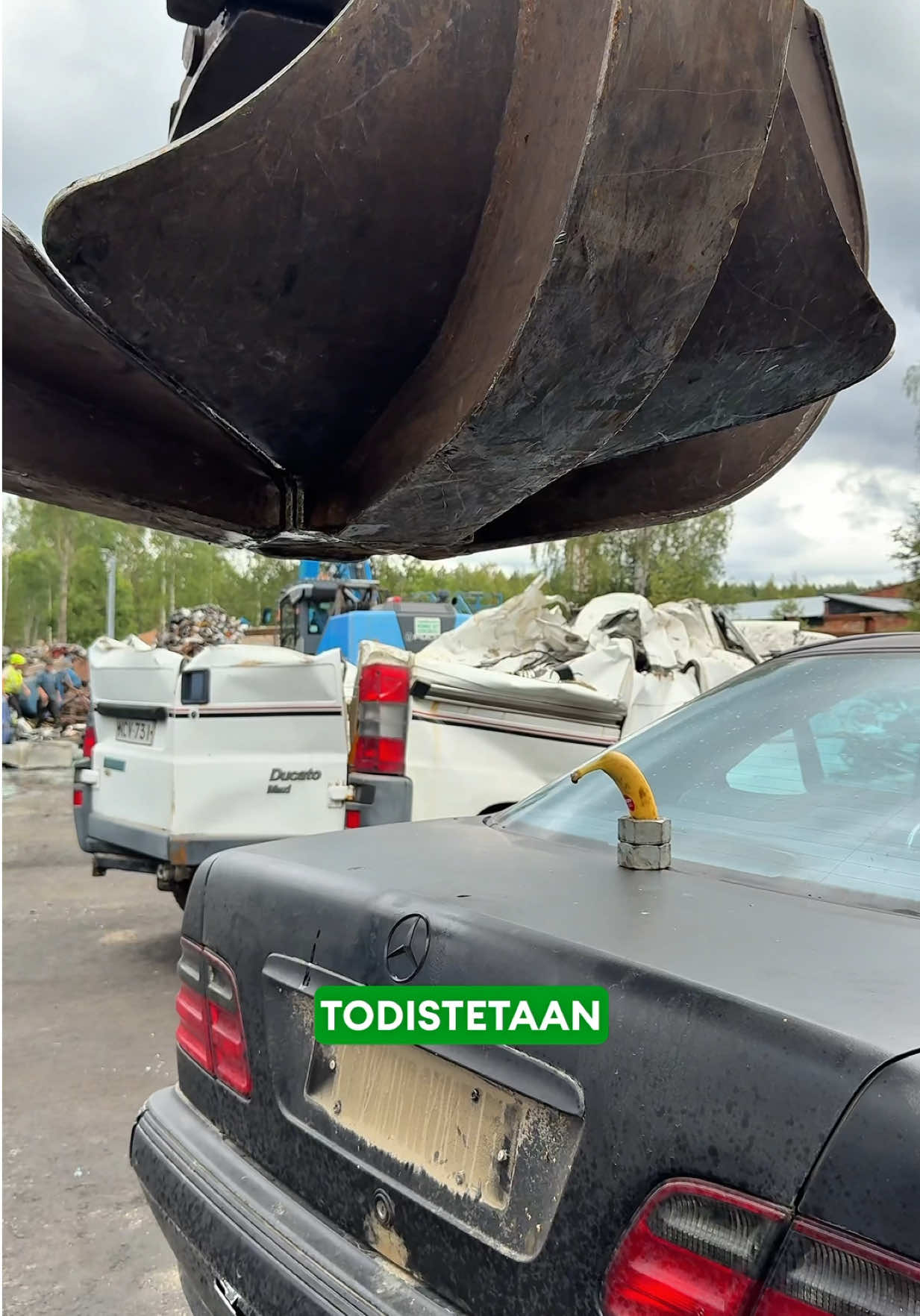 Kuoritaan banaani! #väyrysmersu #suomitiktok 