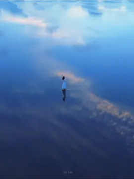 Nhân phẩm tốt nha cả nhà  ( liên hệ dịch vụ quay chụp chuyên nghiệp )  #bienvocuc #bienvocucthaibinh #viral #mavic3pro #xuhuongtiktok #dulich 