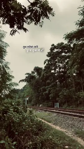 মুখ দেইখা কেউ দুংখ বুঝে না😅 #foryou #foryoupage #video #vairal #unfrezzmyaccount #unfrezzmyaccount #bdtiktokofficial 