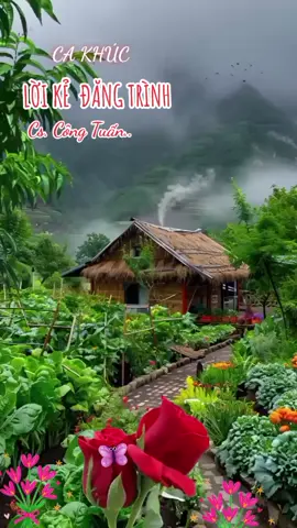 #xu_huong #2025 #nhạc hay cảnh đẹp mỗi ngày..ck .Lời kẻ đăng trình...Cs Công Tuấn..