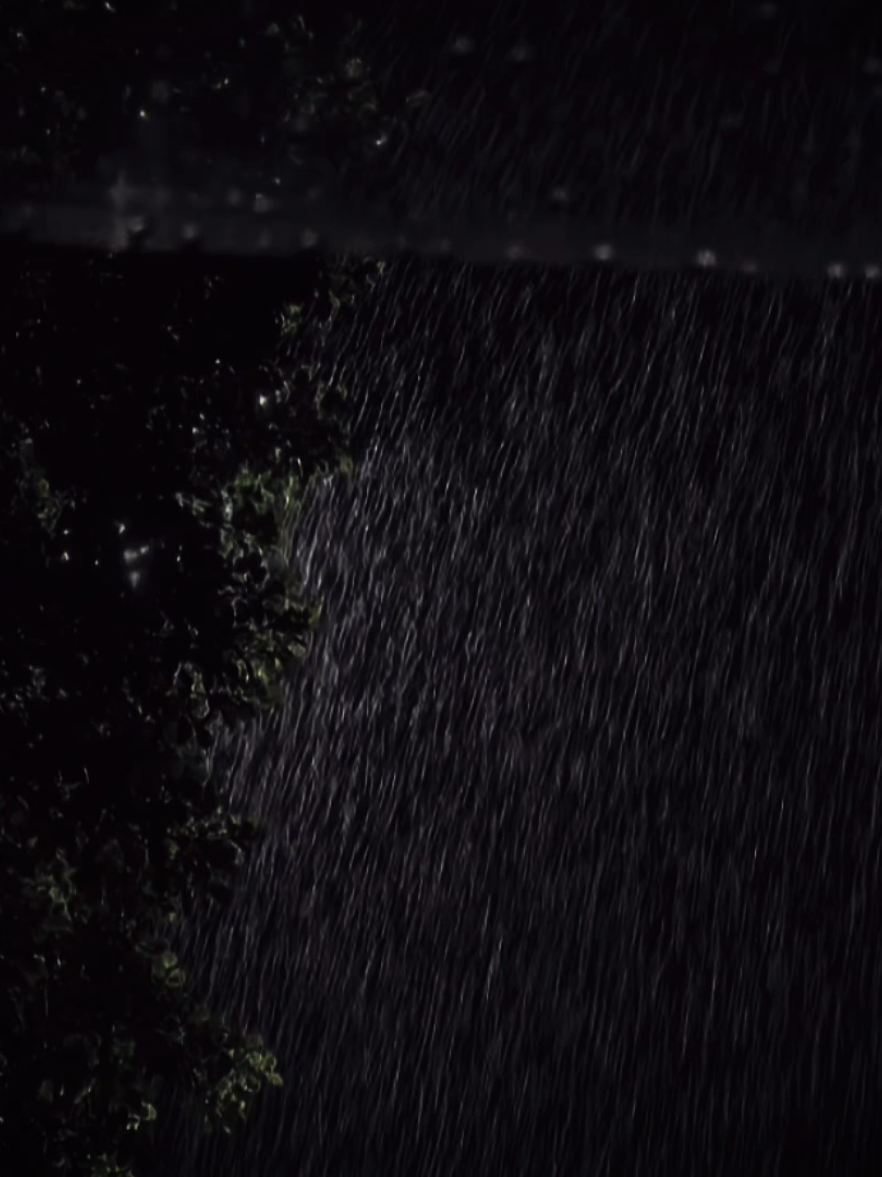 con mua ngang qua #trambuon12 #nghelasuy12 #tamtrang #SBKentertainment 