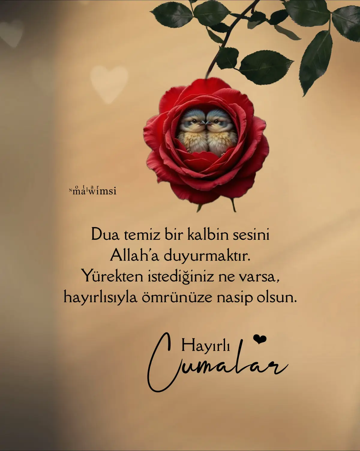 Amin 🤲🏼 Hayırlı Cumalar 🌹 #hayırlıcumalar 