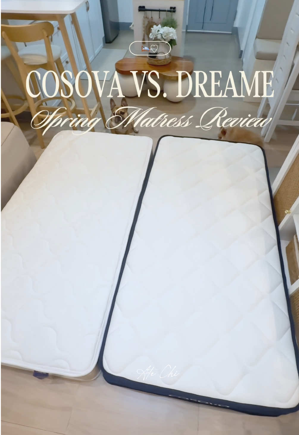 Cosova or Dreame? 🛏 Mattress Comparison 