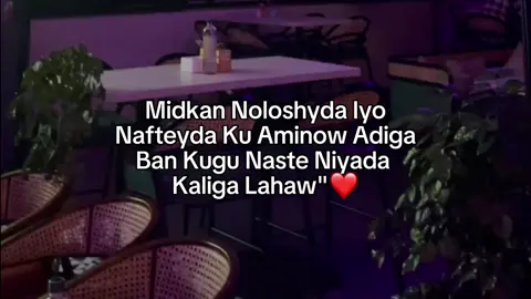 #❤️...#Hayatt🍂 #viralvideos #foryou 