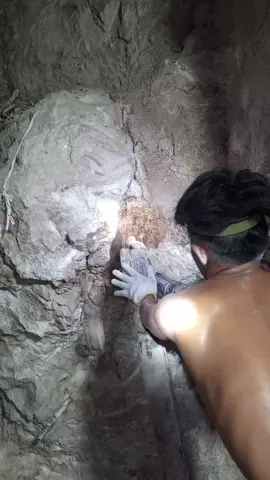 #tambang #tatelu💪 #fyp #fyp #fyppppppppppppppppppppppp 