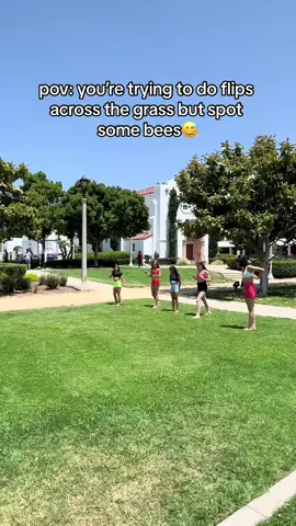 Bees?! No thanks! Lol #dance #dancemoms #dancers #dancelife #real #dancer #bees