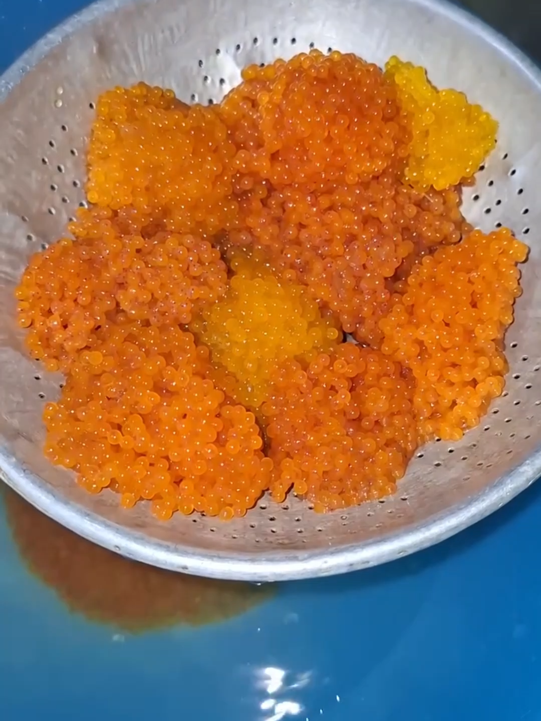 ใครเคยกินบ้าง ไข่ปลาซัคเกอร์