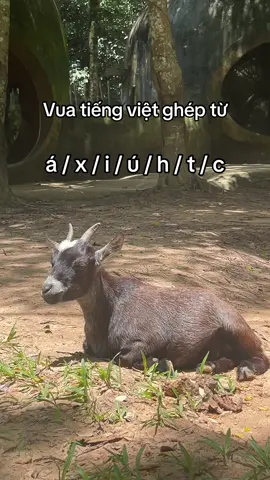 Chơi ghép từ nè ??#GreenCreator #Vinpearl #VinpearlGolf #VinWonders #WonderSummer2025 #dulich #nlx1sws 