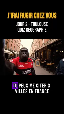 🦍 Petit quiz géo à Toulouse : “Citez-moi 3 villes en France.” Le gars : “Toulouse… Blagnac… Labège.” 🫣 Un peu chauvin non ? 😂 ➡️ Suis-moi, j’irai rugir chez vous (et élargir vos cartes) #Toulouse #SudOuest #gorille #jirairugirchezvous #humourfrancais #chauvin #Vlog 