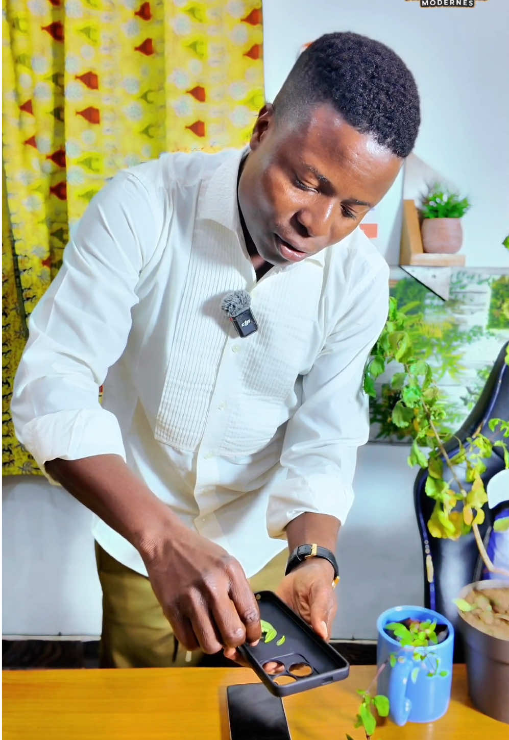 Testez ça je veux voir quelque chose. #Acmella #commiphora #Lauris 