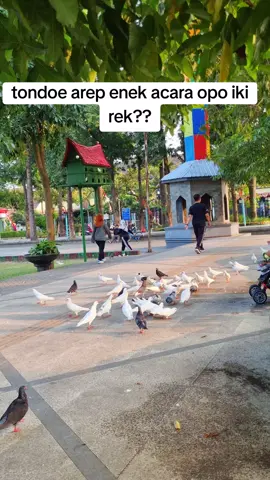 sopo biyen sing tau melok latihan ngeneki komeno yo, jelas saiki wes podo sukses kabeh. #jombang #jombang24jam #siswajombang #paskibraka #latihanpaskibra #alunalunjombang #fyp #jombangtiktok 