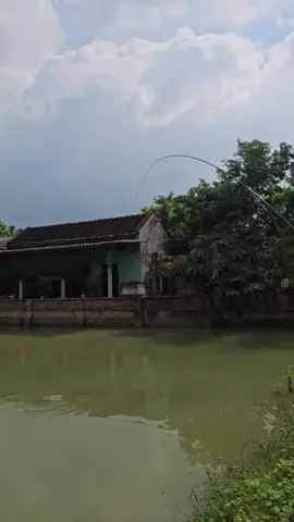 Giật…giật.😁 Đúng con hôm qua đấy.ông ạ😁😁😁#fishing #caucagiaitri #folow #fyp #viral #hashtag #xuhuong #xuhuongtiktok2025 