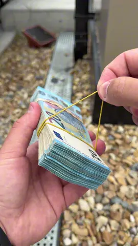 #money #euro #asmr #20euro 