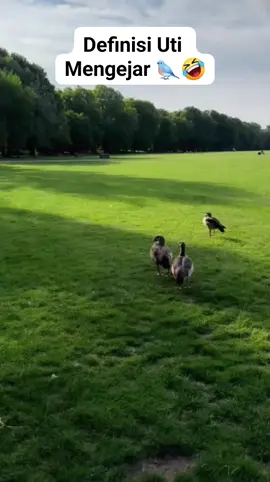 #gala #fuji #galasky #reels #reelsviral 