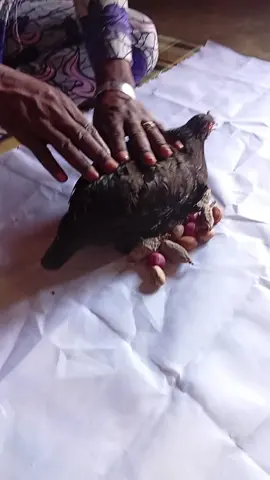 rituel très puissant du Nigéria pour se libérer immédiatement des sorciers.#fyp, #foryou , #viral #africanspirituality #witchtok @ifayomiobaeduempire🥬 