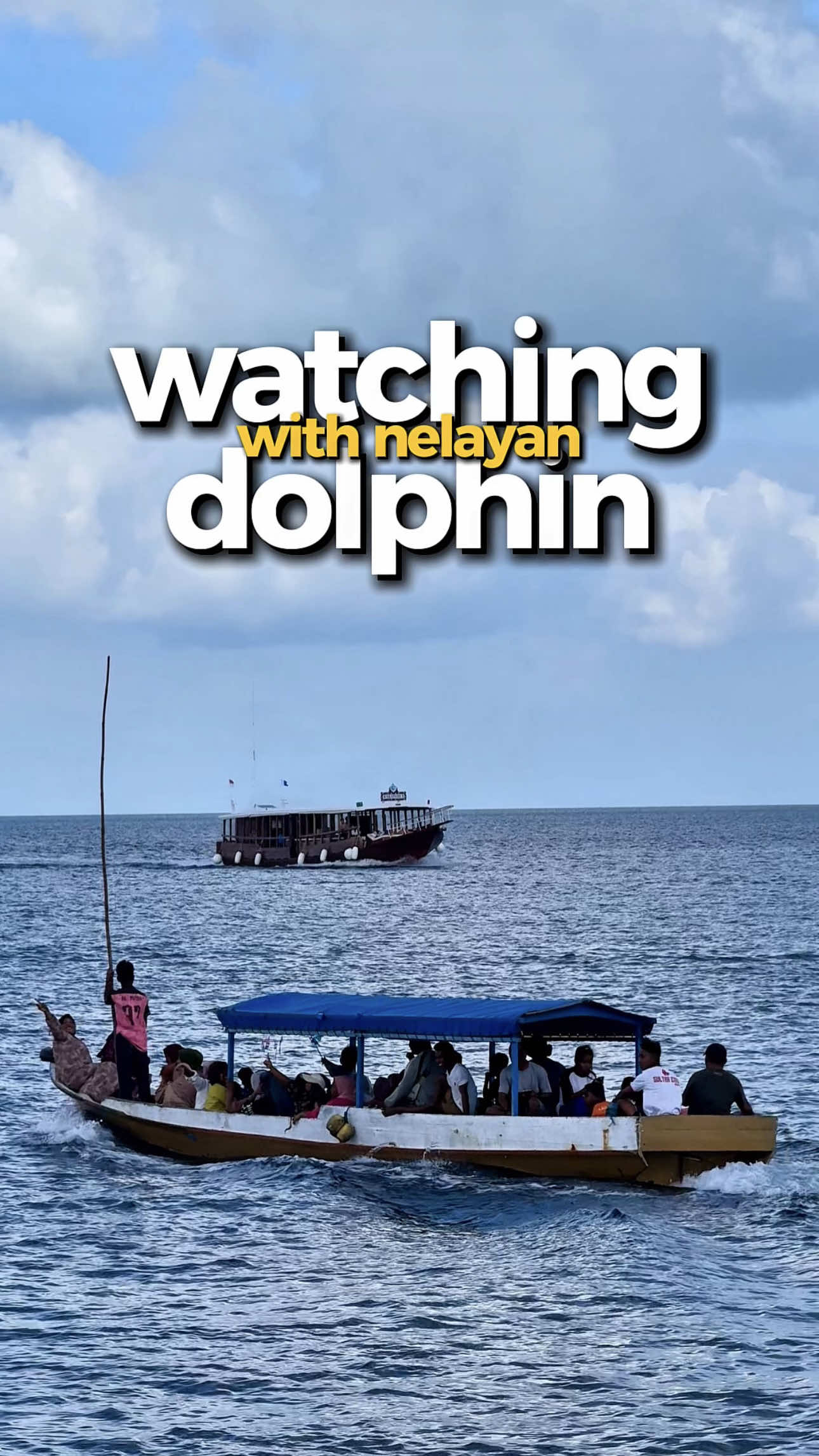saling berburu, antara nelayan dan lumba-lumba di perairan pulau wangi-wangi #wakatobi 
