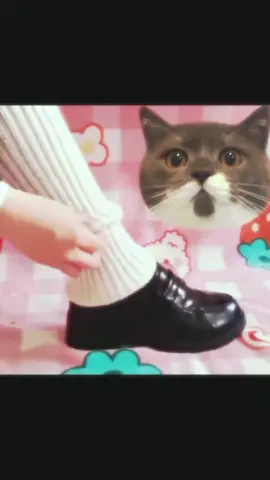 buy now #fyp #foryou 