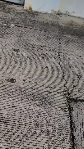 🥷🤙 #rxking #purutulabiss135 #rxkingindonesia #fyp 