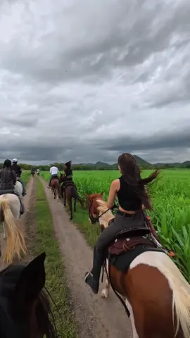 #เทลม้ากลางธรรมชาติ🌻🐴🐎🌾⛰🏞🌈 #ฟาร์มขี่ม้าลพบุรี #คาวบอย #พาเทล #สอนขี่ #เทรนวันนี้ #ทักจองเรียนขี่เทลได้ค่ะ🥰 