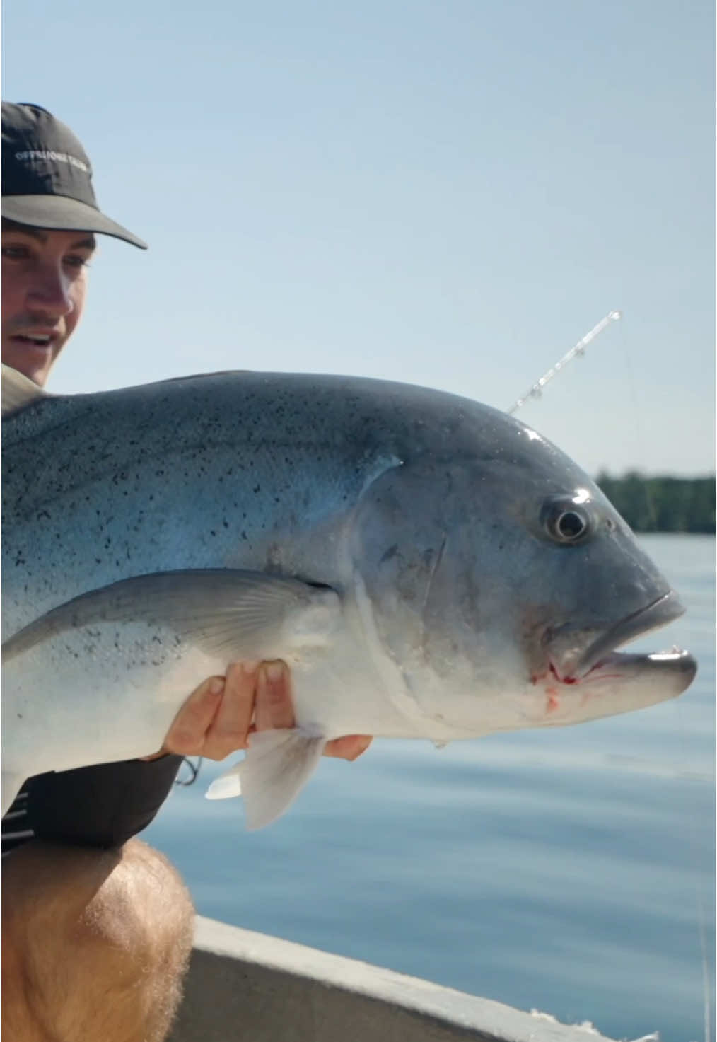 Link in bio make sure to vote if you want to win a trip to the Maldives with me 🫳🏽🏝️ #fishing #fishtok #fish #shark #nature #fishinglife #fyp 