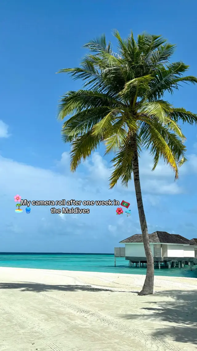 This is your sign to visit the Maldives once in your life✨ @Kandima Maldives #maldives #sunsetlover #kandimamaldives #island #islandgirl #ile #ete #Summer #summervibes 