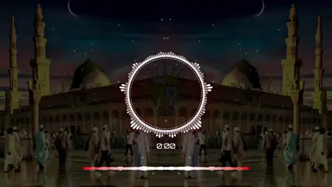 Parho la ilah ha illalah 🥀🕊️🍁🦋🪩💱❤️‍🔥🌿#as_music02👑 #teحseen_typist #slow_reverb2t2 #saraiki__status #سرائیکی_وسیب 