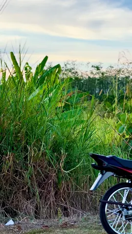 hitam oren in action💦#nopaipnoparty🏁 #rxz #rxzcatalyzer #rxz_members_official #rxzstilltheboss #fypシ゚ #xybca #fy #explore 
