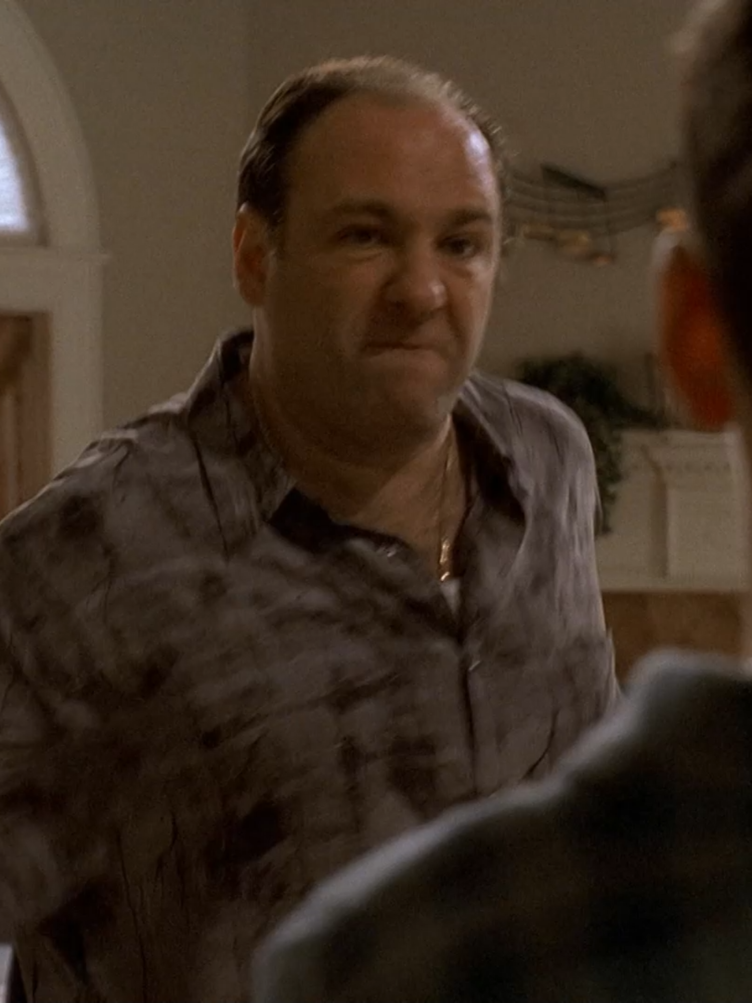 Expelled? How bout dat. AJ must be loyle to his father.#thesopranos #tonysoprano #edit #soprano #howboutdat #gabagool #fiberoptic #memestiktok