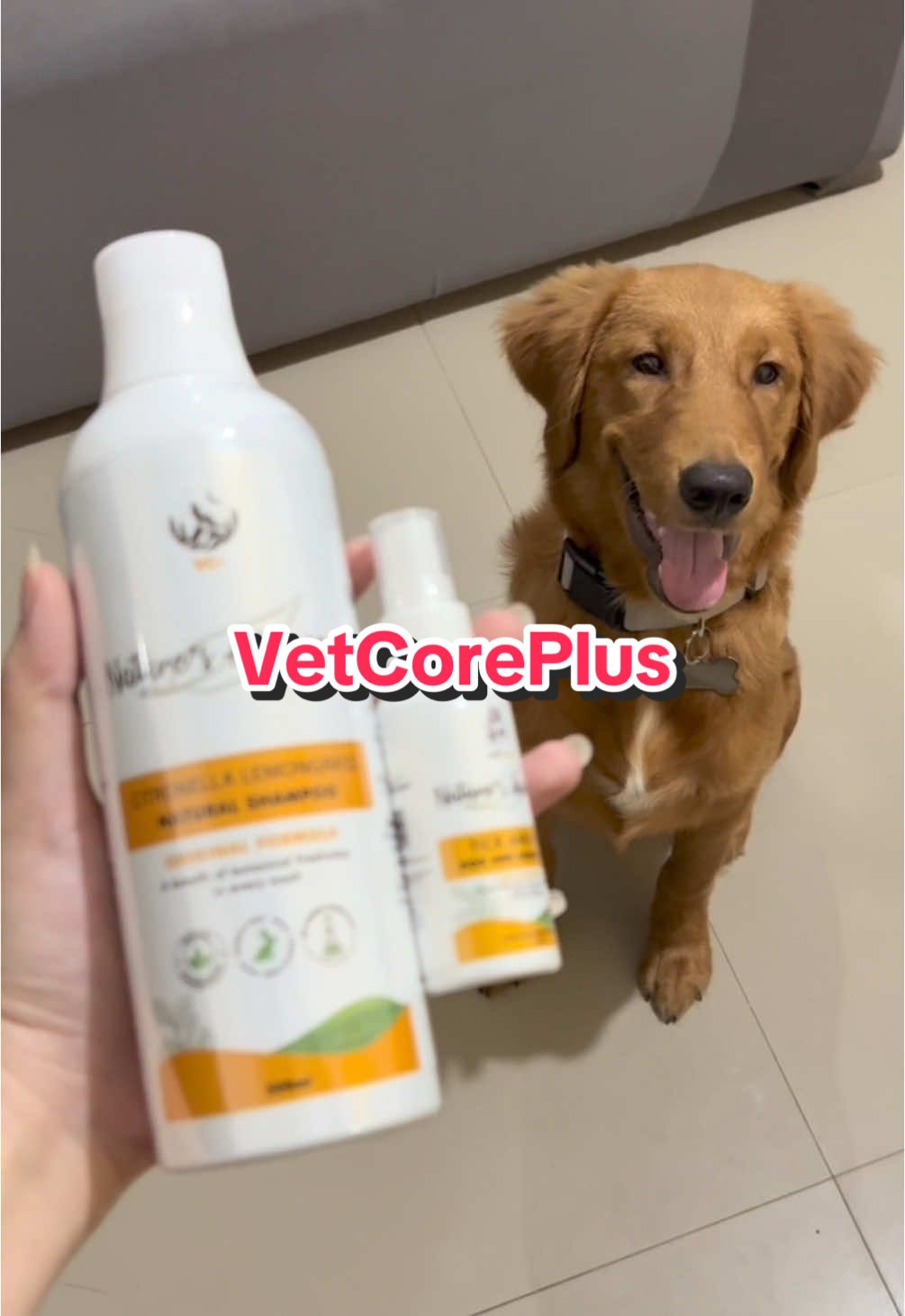 A must have to keep our dogs away from tick and fleas! 🐶 #furmomjelai #petcarethenaturalway #tickfreewithvetcore #lemongrasspower #essentials #fleafreesifurbaby #sprayitvetcorestyle #vetcore #vetcoreshampooandspray 