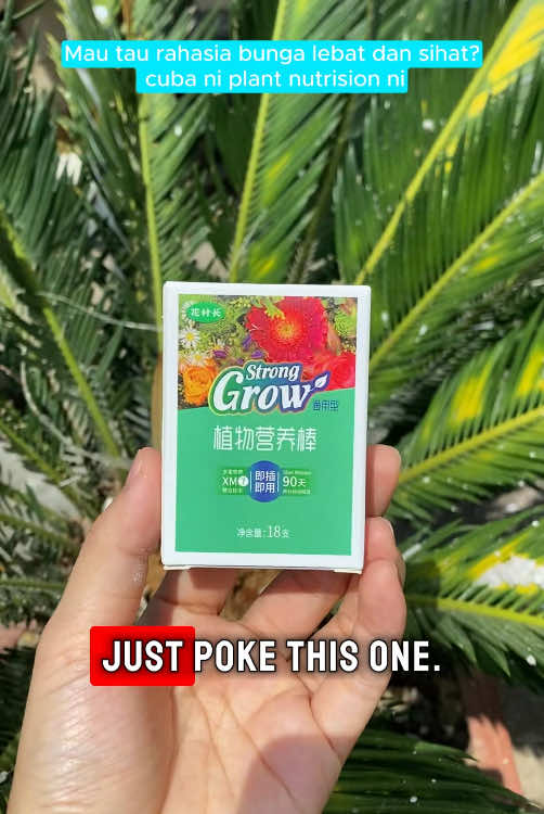 Batang Nutrisi Tanaman, /Plant Nutrition ni bagus tuk semua jenis pokok, melati melur, rose semua boleh pakai. Hasilnya wow.. boleh try la#gardening #petanimuda #plantnutrients #harum #gengkebun