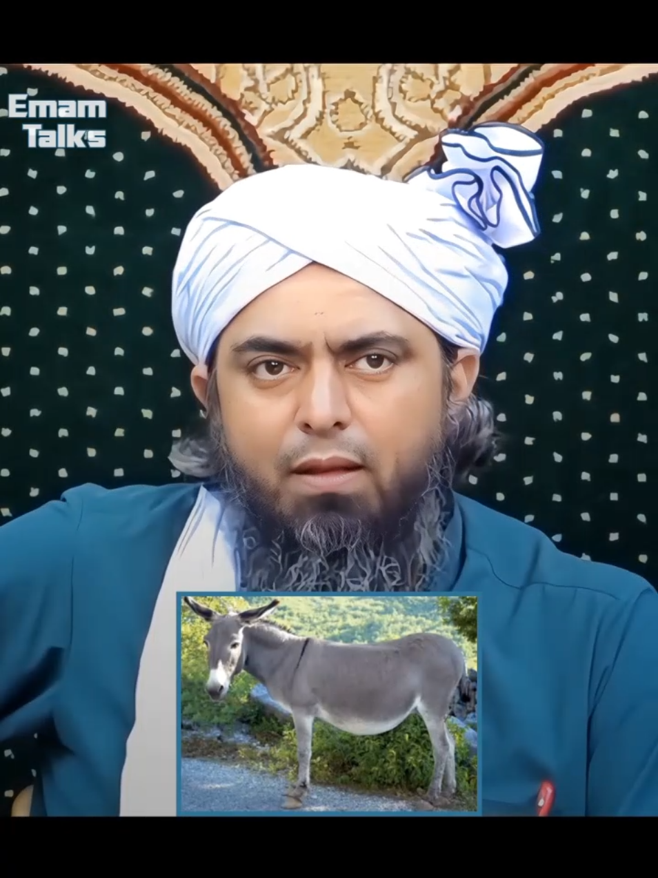 Donkey Meat Scandal !