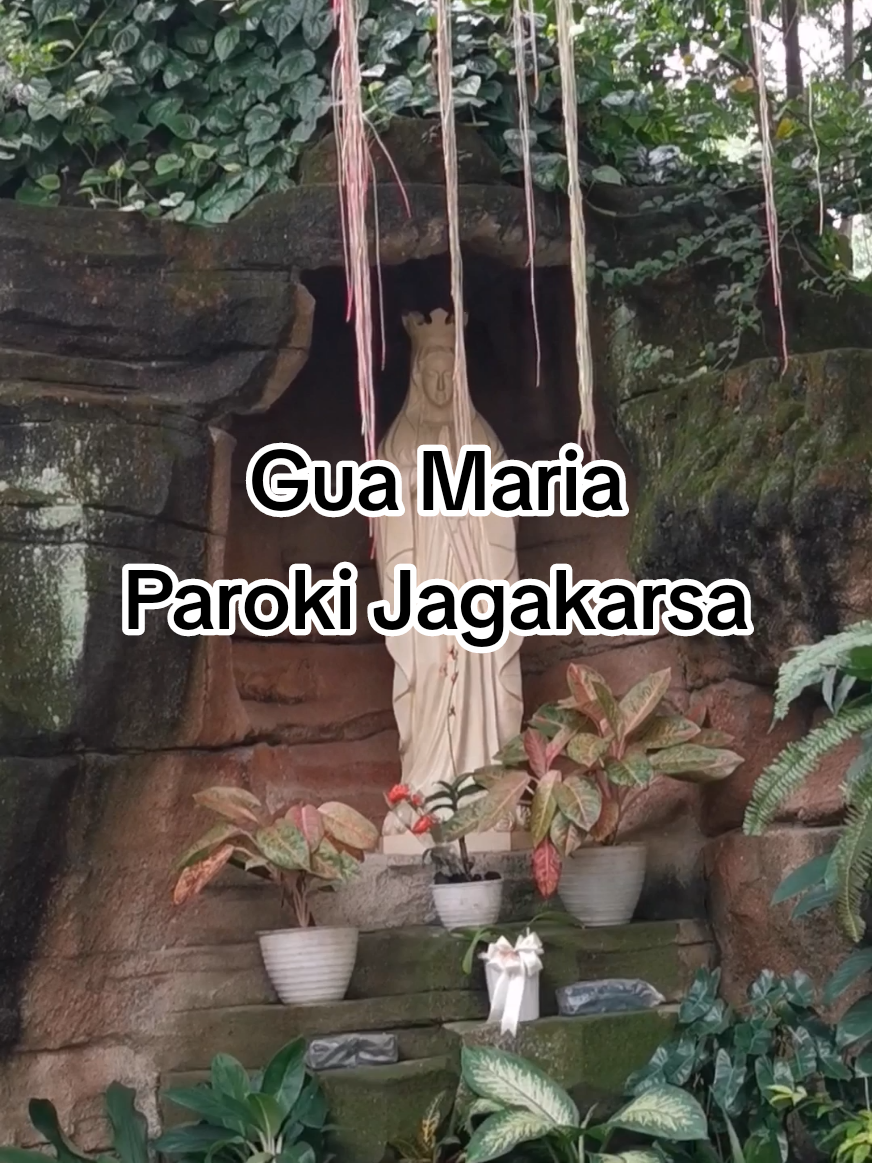 Gua Maria Gereja Ratu Rosari Jagakarsa Jakarta #guamaria #parokijagakarsa  #gerejaraturosari