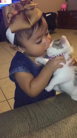 Baby kiss cat#cat #babyandcat #funny #funnyvideos #animal 