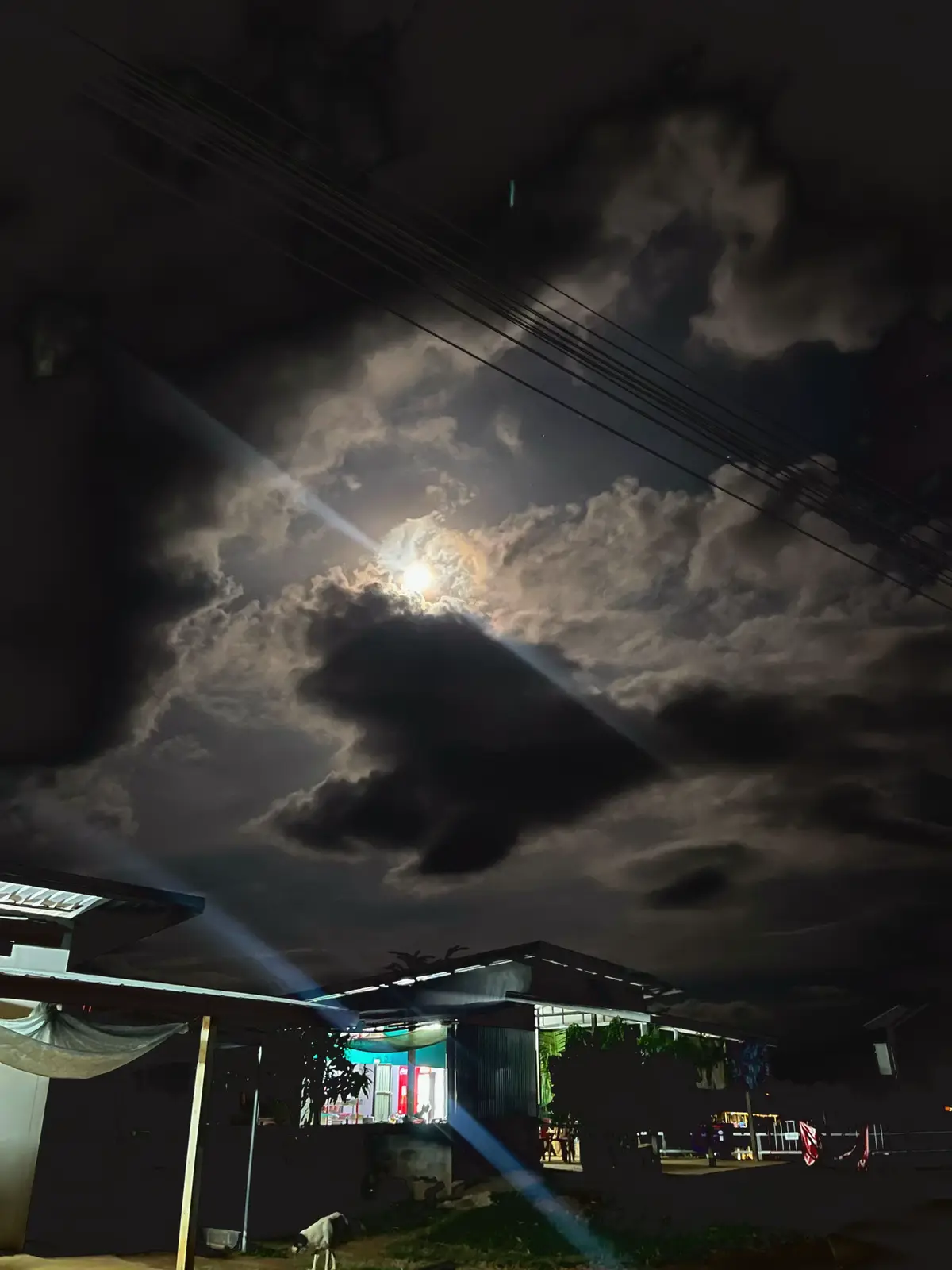 ยืมรูปได้นะ🥹🫣#ท้องฟ้ายามค่ําคืน #เธรดเพลง 