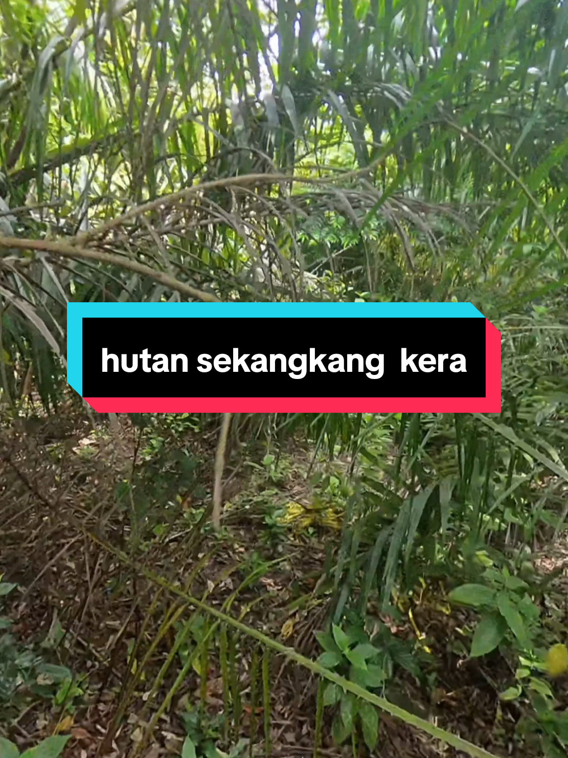 apa yg ada disebalik signboard, baik punya pot#abgmeterair #meterair #semak #fypage #redah 