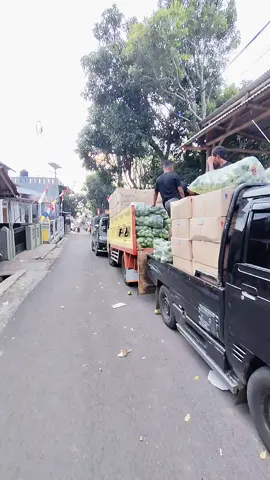 #CapCut #petaniindonesia🇮🇩🇮🇩🇮🇩🌿🌿 