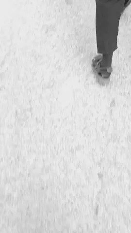 #ياحبيبي_ياحســــــــــين #هيئه_يتام_زينب 