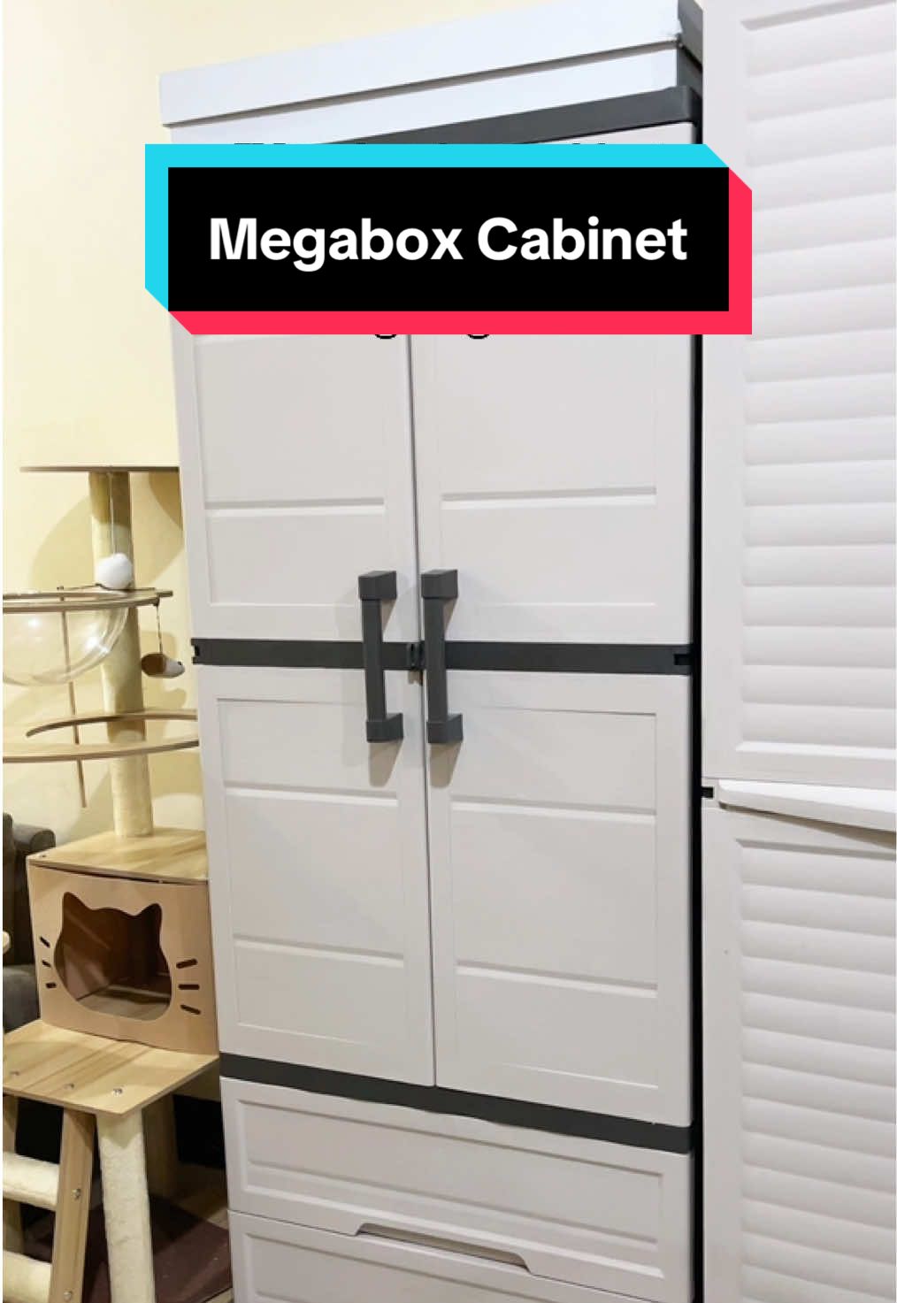 Srsly mas matibay at mas magtatagal to 💯 #cabinet #megabox #wardrobe #drawerorganizer #newlyweds 