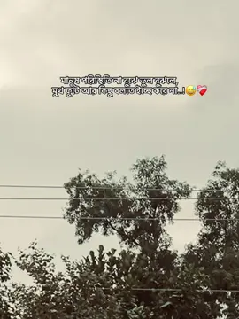 মানুষ পরিস্থিতি না বুঝে ভুল বুঝলে, মুখ ফুটে আর কিছু বলতে ইচ্ছে করে না..!😅❤️‍🩹#fouryoupage #foryou #viralvideo 